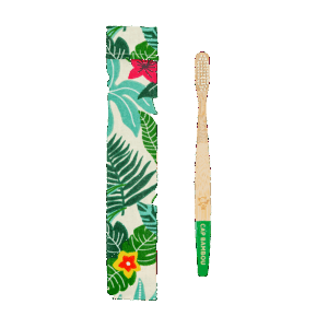 Brosse à Dents Adulte - Medium - Avec Pochon