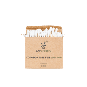 Cotons Tiges x100