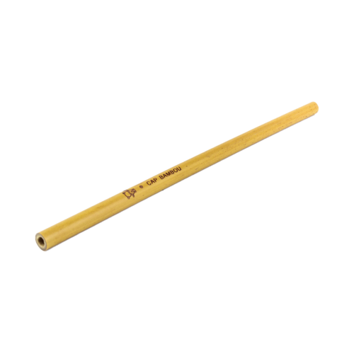Paille Reutilisable 20 cm - x10