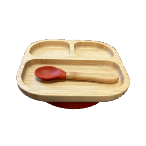 Set De Repas Terracotta (Assiette + Cuillère)