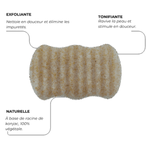 Eponge Konjac Corps - Coques de noix — Pour un gommage en profondeur