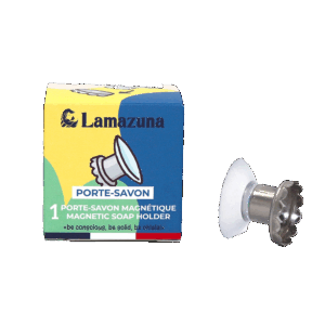 Porte-savon magnétique