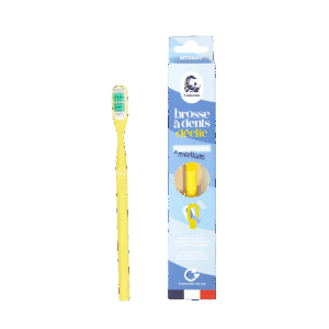 Brosse à dents - Medium - Mimosa