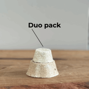 Duo shampoings Rhassoul