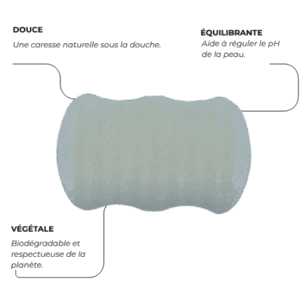 Eponge Konjac Corps - Nature — Toutes peaux