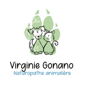 Logo Virginie Gonano